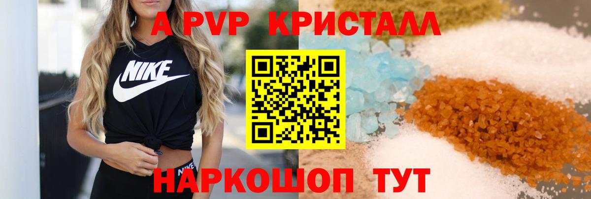 A PVP крисы CK Кириши