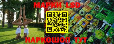 индика Кулебаки