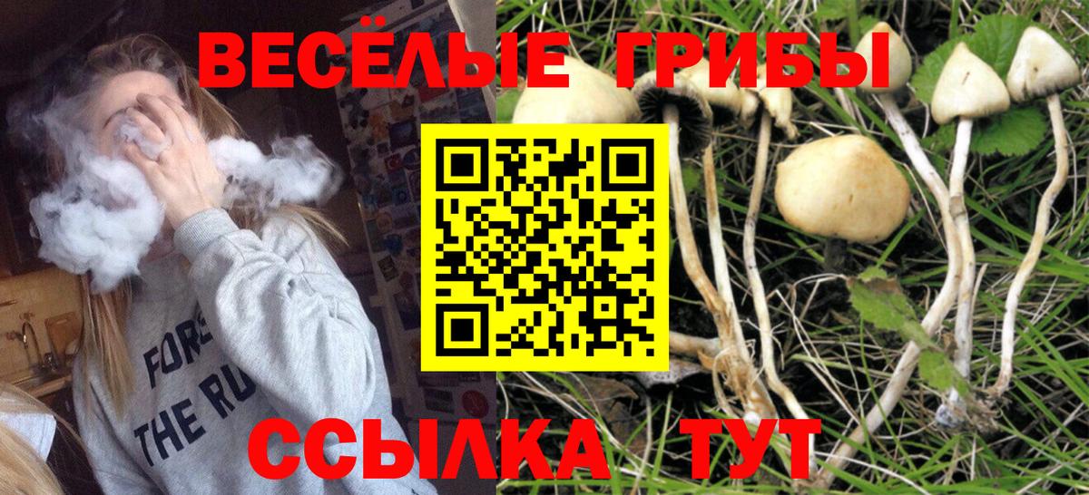 Галлюциногенные грибы мухоморы Кириши
