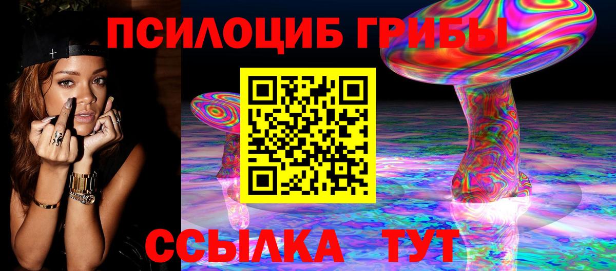 Галлюциногенные грибы MAGIC MUSHROOMS  Вход с VPN  Кириши 